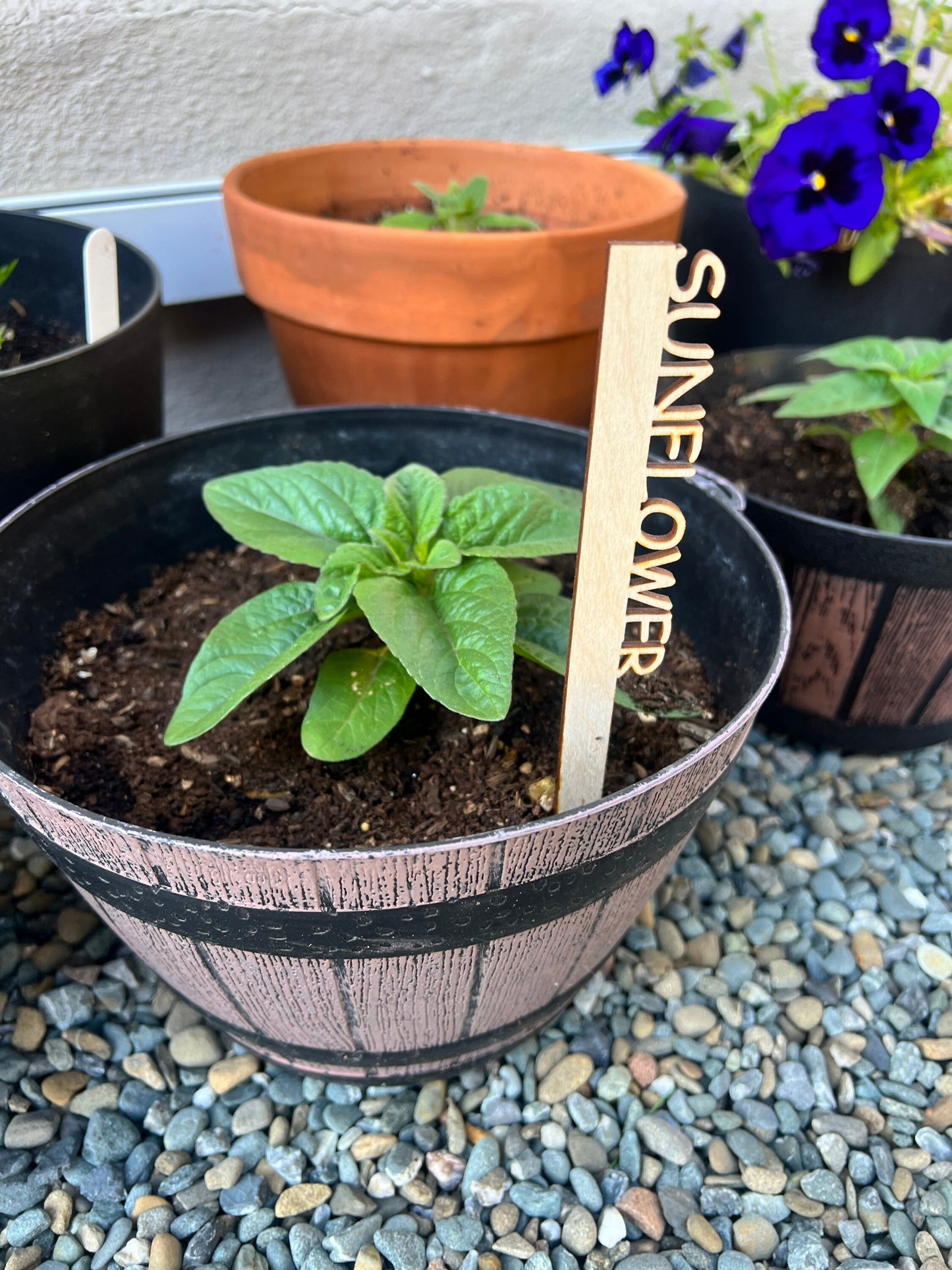 Custom Gardening Plant and Seedling Markers | Made to order | Gift for Gardeners