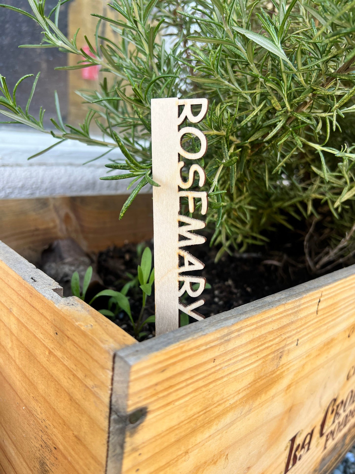 Custom Gardening Plant and Seedling Markers | Made to order | Gift for Gardeners